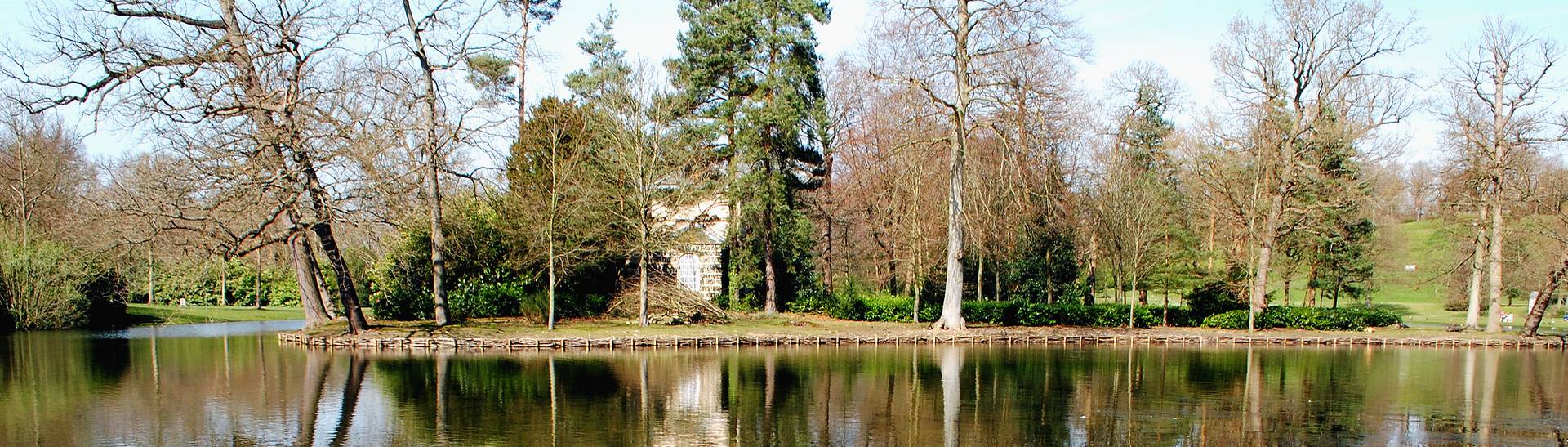 Lake in Surrey park